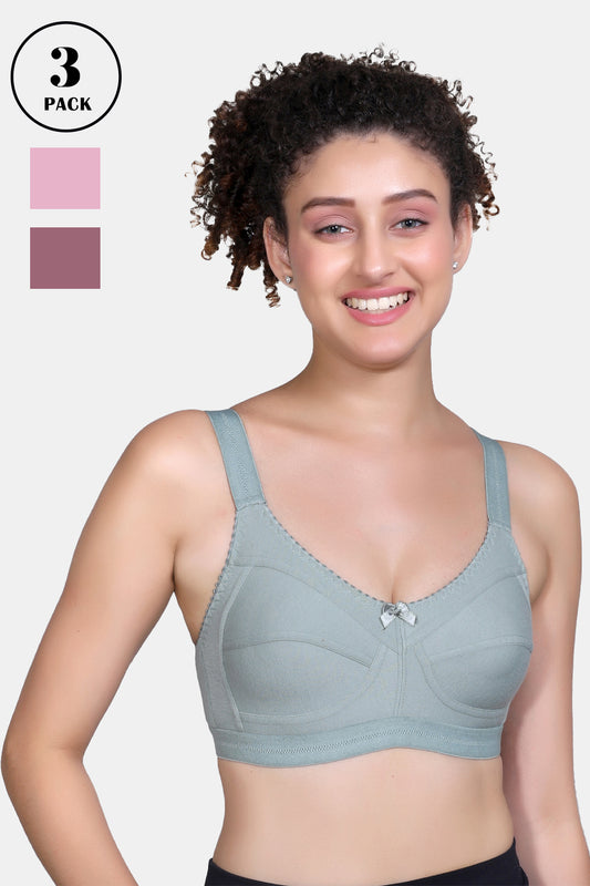 Women Everyday Non Padded Bra Pack of 3 B407_Olive Green_Waxberry_Redbean